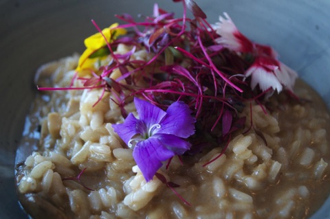 Devonshire Fell wild mushroom risotto